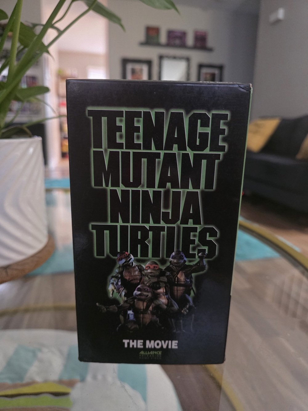 Teenage Mutant Ninja Turtles The Movie VHS Box - Black & Green